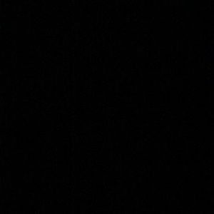 Meet your Posher, Amelia